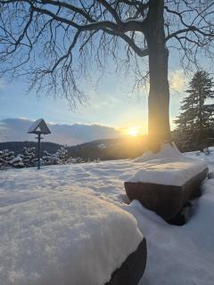 Chalupa U Šubrtů - 5