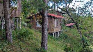 Campos de Oro Wilderness Lodge - Monteverde - 9