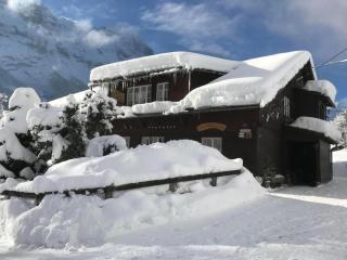Beim Faulensee 2-Bett Wohnung 1 Stock West - Grindelwald - 6