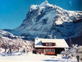 Beim Faulensee 2-Bett Wohnung 1 Stock West - Grindelwald - 5