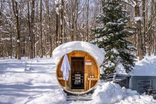 Beautiful chalet on 5 acres - 2 min to Village! Hot-Tub, Sauna, Fire Pit! - Ellicottville - 5