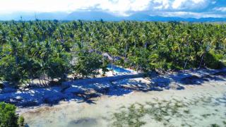 The Dome Hotel Puerto Princesa City - 6