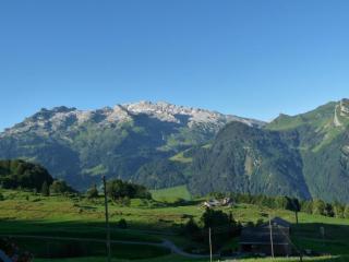 Bauernhof obere Fraumatt - Illgau - 2