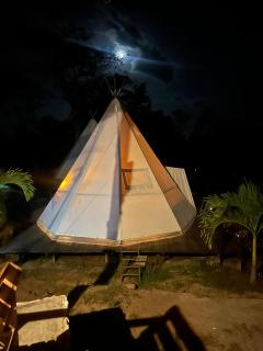 Tipiland - Palomino - 2