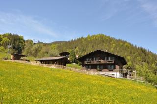 Ferienwohnung im Chalet Adelheid - Grindelwald - 0