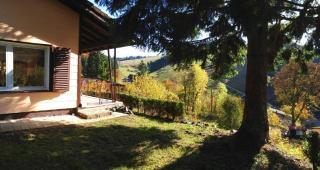 Ferienhaus für 5 Personen ca 70 qm in Sankt Andreasberg, Harz Oberharz - Sankt Andreasberg - 1