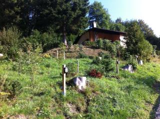 Ferienhaus für 5 Personen ca 70 qm in Sankt Andreasberg, Harz Oberharz - Sankt Andreasberg - 2