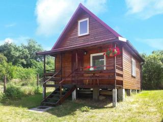 Cottage 300m from the lake in Lubin - Lubin - 9