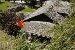 Casa Lina - Promontogno - 7