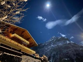 Chalet Barbara, ruhige 2-4 Bett Wohnung, all inclusiv - Grindelwald - 0