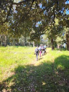 Sakshi Hill Cottage - 8