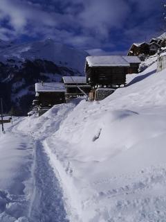 Mayen à Olivier - Haudères - 9