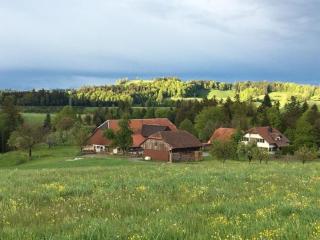 Steinern - Ufhusen - 4
