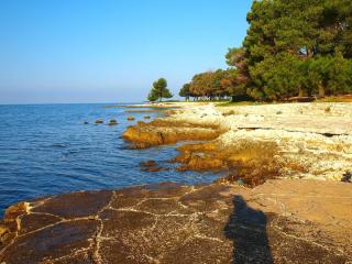 Studio für 3 Personen ca 48 qm in Červar-Porat, Istrien Istrische Riviera - 4