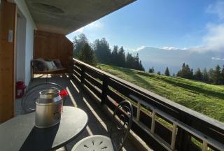 Adler 21 - Riederalp - 9