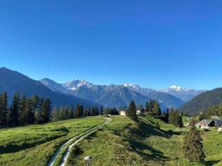 Adler 21 - Riederalp - 8
