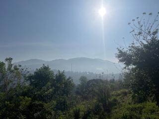 Modern Home Stay - Peradeniya - 8
