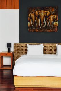 Bali Serenity Villa - Nusa Dua - 3