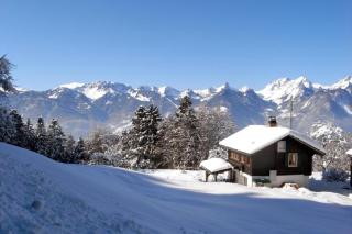 Chalet Les Chevreuils in Corbeyrier - Corbeyrier - 8