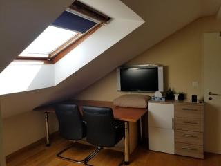Schönes Studio direkt am Bodensee - Altenrhein - 2