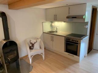 Chalet Fluehbluemli Eigerview - Grindelwald - 6
