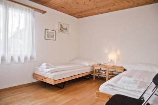 Apartment Aare - Goldswil - 4