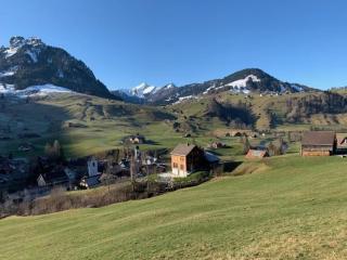 Haus Stelz - 7