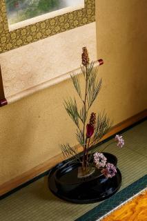 Bright Park House in central Tokyo - 6