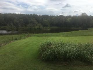 a cozy, quiet, rural hideaway close to everything3 - Sherwood - 6