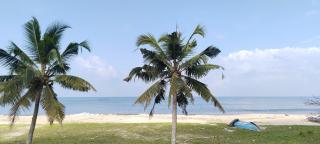 Beach Veedu Home stay Alleppey - Alleppey - 1