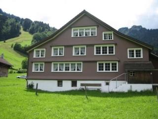 Wisli - Stein - 8