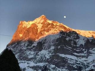 Beim Faulensee 2-Bett Wohnung 1 Stock Ost - Grindelwald - 5