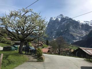 Beim Faulensee 2-Bett Wohnung 1 Stock Ost - Grindelwald - 3