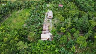 Mimpi of Orangutan Adventure, TREK ONLY BOOK WITH US - 7