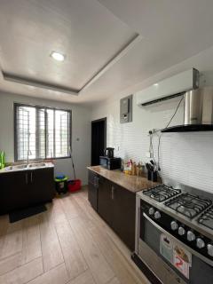 Dominion Apartment - Ikoyi - 3
