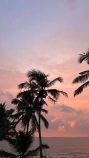 Beach apartment - Candolim - 4
