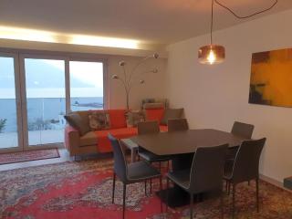 Wunderschöne Ferienwohnung mit Sicht auf See und Berge in Brissago - Brissago - 3