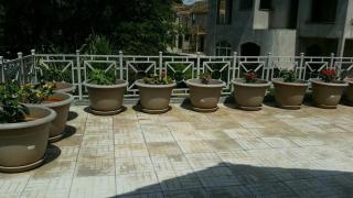 Cozy Awesome place by Coco Beach in Oysterbay - Dar es Salaam - 6