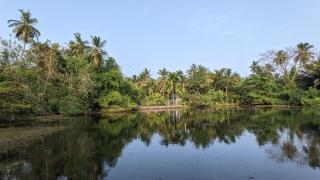 Lake view nest - Tangalle - 9