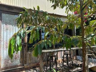 Cashew Garden House - Chalong - 9