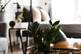 Loft by Celta Home - Vigo - 0