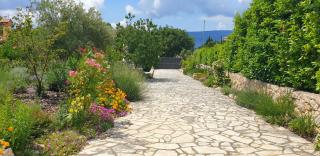 Villa Sloboda Appartments, Pinezici - 1