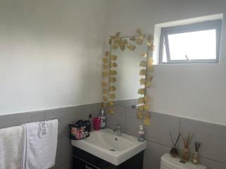 Luxurious 2 bedroom and 2 baths - 3