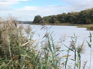 Ferienhaus "Cajo" am Malchiner See - 6