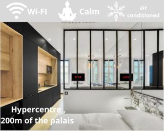 F2 rue St honoré D ,Hypercentre à 2 minutes du Palais des congrès - 0