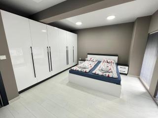 NJ Modigliani style - 1