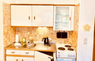 Fewo Hemlock, mit Balkon - Hahnenklee-Bockswiese - 4