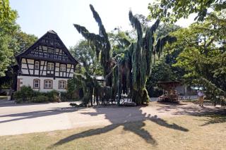 Nancy Cure Thermale - ARTEM - Parc Sainte Marie - 1er ORANGE - Nancy - 7