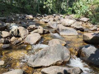 Creekshore Home Stay - 7