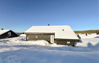Cozy Home In Sjusjøen With Sauna - Sjusjøen - 2